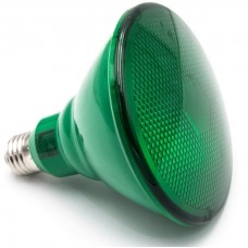 Λάμπα LED PAR38 10W 230V 38° IP65 Πράσινο 13-381005